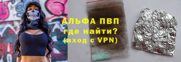 прущие грибы Корсаков