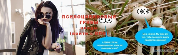 ALPHA-PVP Кодинск