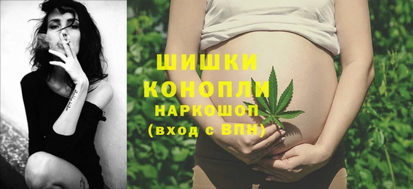 прущие грибы Корсаков