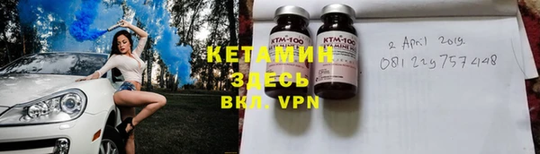 прущие грибы Корсаков
