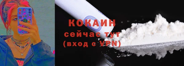 прущие грибы Корсаков