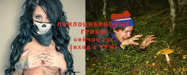 ГАЛЛЮЦИНОГЕННЫЕ ГРИБЫ Костерёво