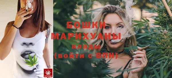 ГАЛЛЮЦИНОГЕННЫЕ ГРИБЫ Костерёво